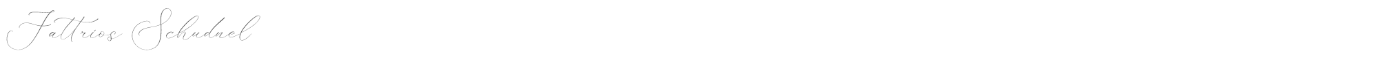 Sample characters Fattrios Schudnel Font